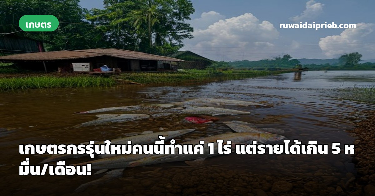 เกษตรกรรุ่นใหม่คนนี้ทำแค่ 1 ไร่ แต่รายได้เกิน 5 หมื่น/เดือน!