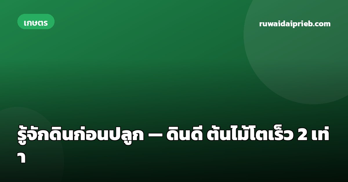 รู้จักดินก่อนปลูก — ดินดี ต้นไม้โตเร็ว 2 เท่า