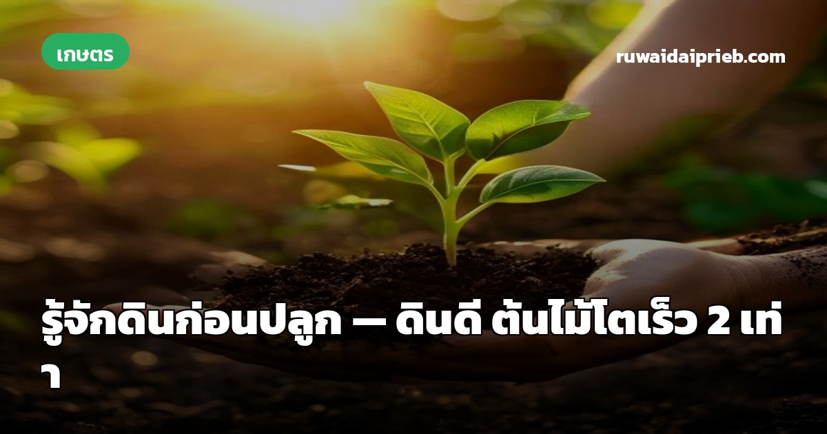 รู้จักดินก่อนปลูก — ดินดี ต้นไม้โตเร็ว 2 เท่า