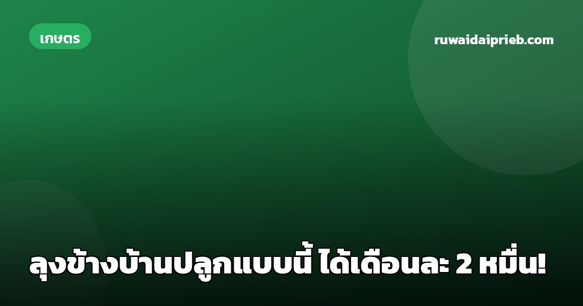 ลุงข้างบ้านปลูกแบบนี้ ได้เดือนละ 2 หมื่น!