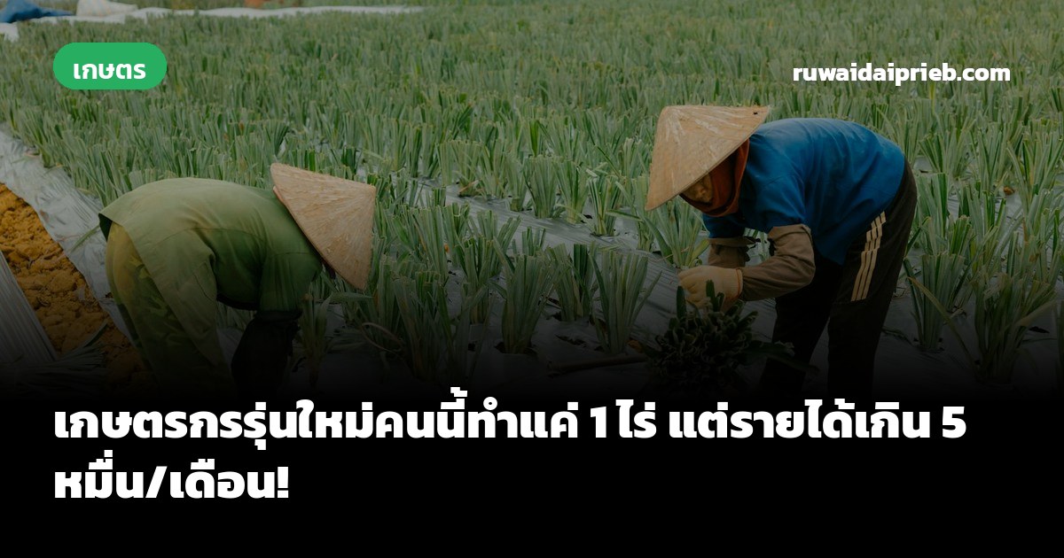 เกษตรกรรุ่นใหม่คนนี้ทำแค่ 1 ไร่ แต่รายได้เกิน 5 หมื่น/เดือน!