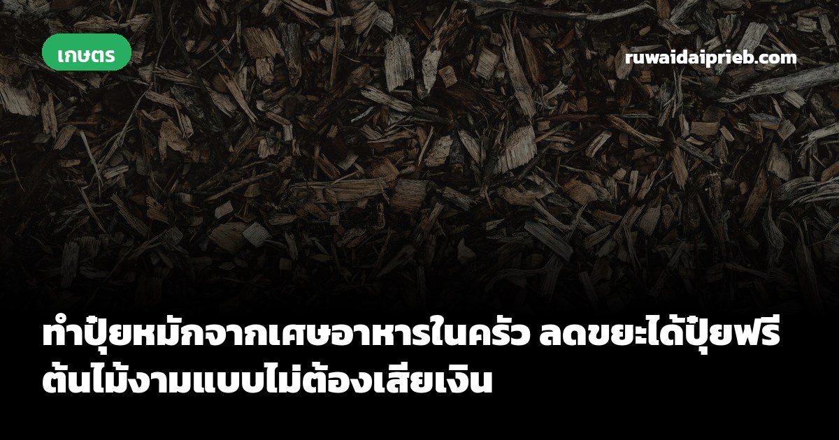ทำปุ๋ยหมักจากเศษอาหารในครัว ลดขยะได้ปุ๋ยฟรี ต้นไม้งามแบบไม่ต้องเสียเงิน