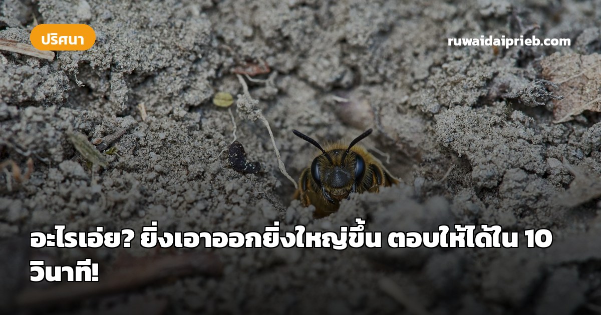 อะไรเอ่ย? ยิ่งเอาออกยิ่งใหญ่ขึ้น ตอบให้ได้ใน 10 วินาที!