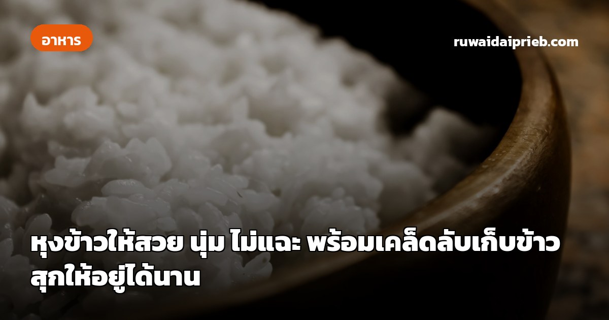 หุงข้าวให้สวย นุ่ม ไม่แฉะ พร้อมเคล็ดลับเก็บข้าวสุกให้อยู่ได้นาน