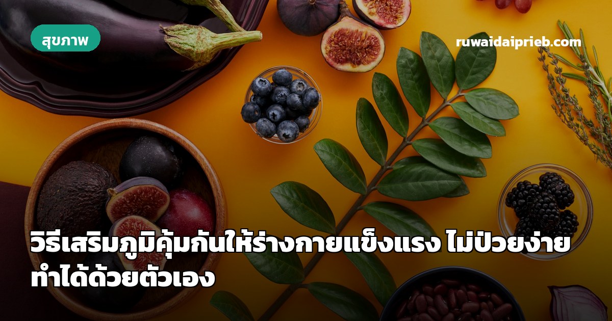 วิธีเสริมภูมิคุ้มกันให้ร่างกายแข็งแรง ไม่ป่วยง่าย ทำได้ด้วยตัวเอง