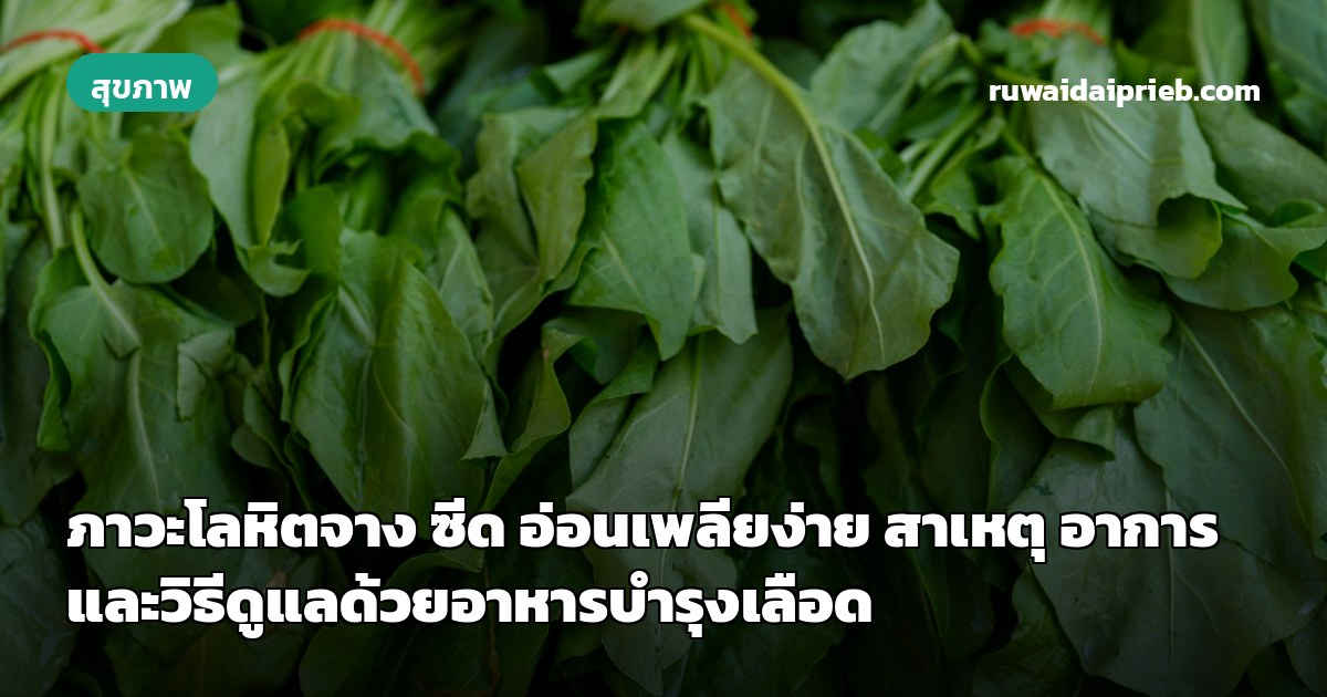 ภาวะโลหิตจาง ซีด อ่อนเพลียง่าย สาเหตุ อาการ และวิธีดูแลด้วยอาหารบำรุงเลือด