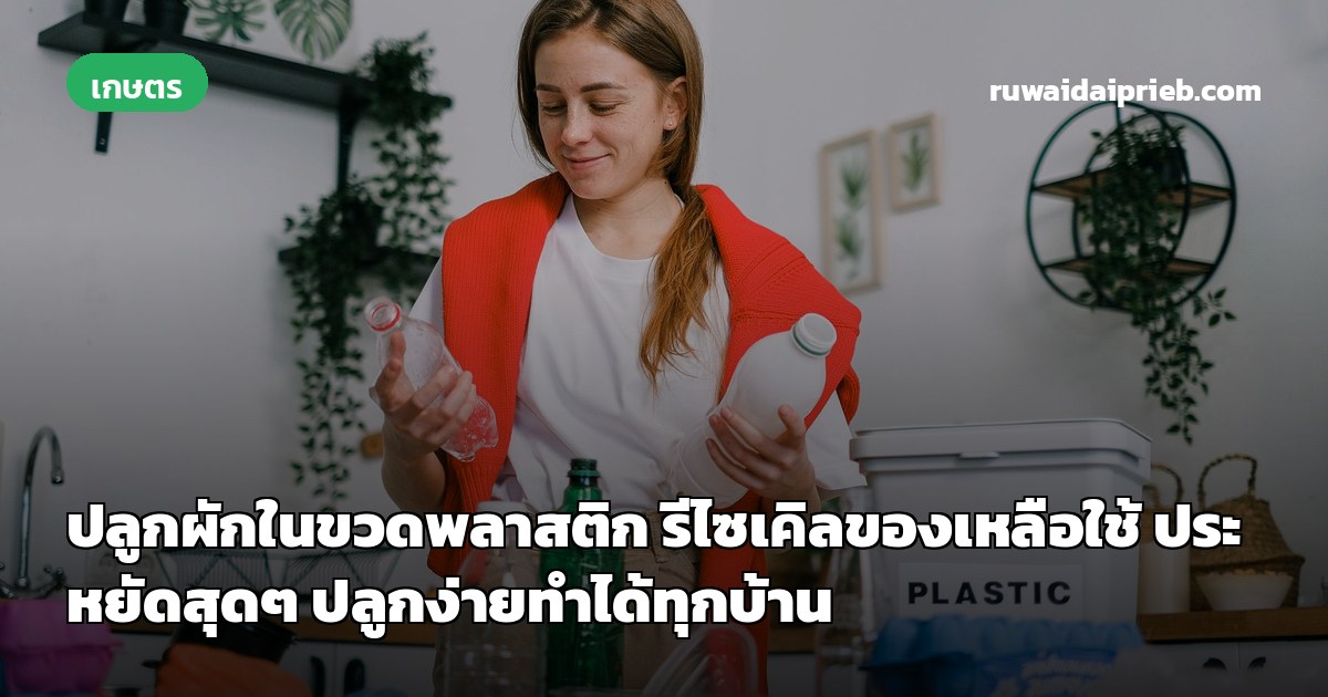 ปลูกผักในขวดพลาสติก รีไซเคิลของเหลือใช้ ประหยัดสุดๆ ปลูกง่ายทำได้ทุกบ้าน