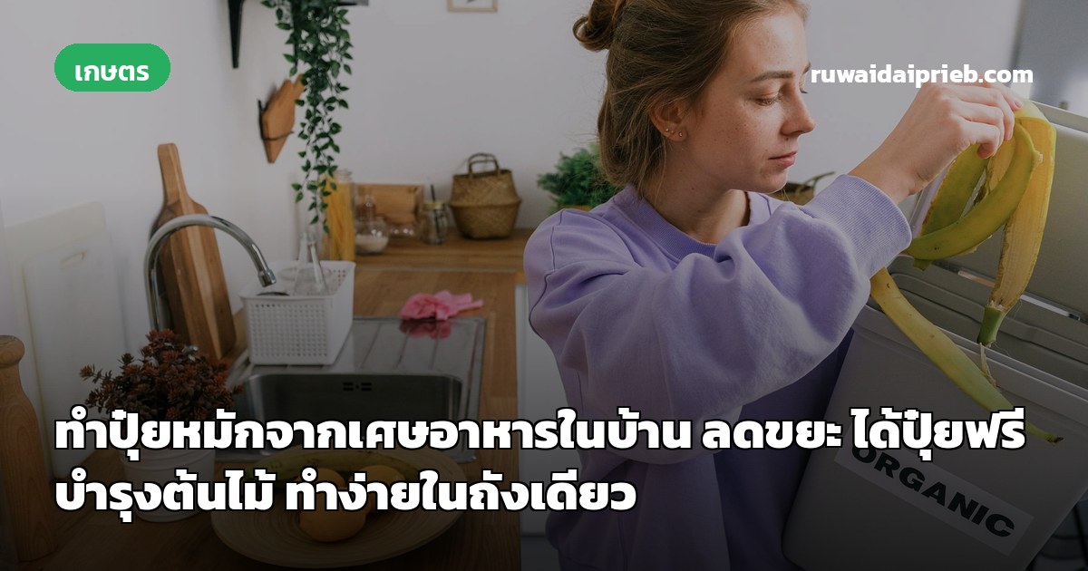 ทำปุ๋ยหมักจากเศษอาหารในบ้าน ลดขยะ ได้ปุ๋ยฟรีบำรุงต้นไม้ ทำง่ายในถังเดียว