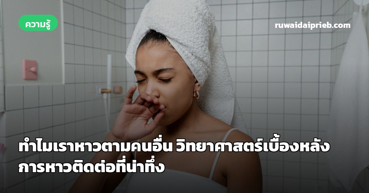 ทำไมเราหาวตามคนอื่น วิทยาศาสตร์เบื้องหลังการหาวติดต่อที่น่าทึ่ง